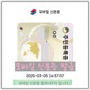 모바일신분증 발급&관리 | 모바일신분증 주민등록증 만들기 후기, 발급방법, 비용, 확인, 사용법, 효력