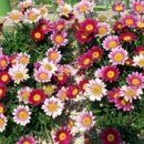 기억 여행- 즐거운 이미지