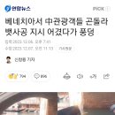 베네치아서 中관광객들 곤돌라 뱃사공 지시 어겼다가 풍덩 이미지