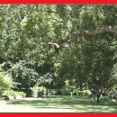 신원덴탈(주) 이미지