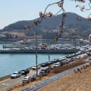 안일초등학교백야분교장 이미지