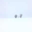 여백 - 제주시 함덕8길 55 | 여백