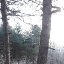 정정농장 이미지