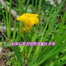 제주곶자왈별장