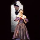 카멜리아 이미지