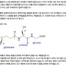 Re: 대량 무기질 '황 sulfate'에 대하여 이미지