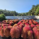 바다향기 이미지