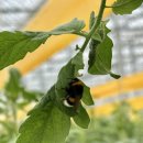 상주스마트팜혁신밸리 2층화장실 | 「 스마트팜 혁신밸리 8기 」 교육 외 일상