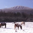 제주기억 이미지