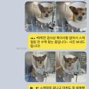 늘곁에동물병원 이미지