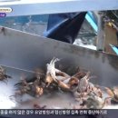 둘리민박 이미지