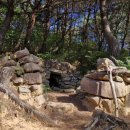 덕만농장 이미지