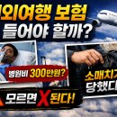 호텔비자비 | 해외여행 보험, 꼭 들어야 할까요?