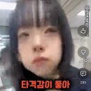 막내복권 네이버블로그