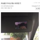 라부 이미지