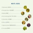 유어쏨 - 강남구 강남대로 364 | 유어쏨