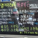 냥이의하루 카페.분양 네이버블로그