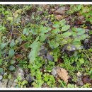 새서울농장 이미지