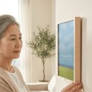 시니어 영어(심화) 이미지