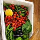 자미농장 이미지