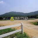 파주시청소년수련장 Daum카페