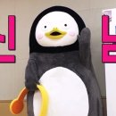 펀키즈유치원 이미지