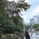 방배천로20길 1 이미지