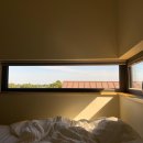 송당미학 이미지