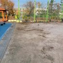 오정초등학교 이미지