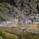 1306. 한성대입구역 2번 출구 | 한성대입구역 l 성북천 벚꽃 야장맛집 구경 및 찐 데이트코스 추천