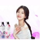 에이엔피코리아 이미지