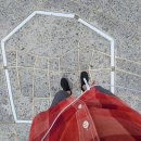 미니스톱 황금점 이미지