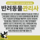 반려견,반려묘를 위한 반려동물관리사 이미지
