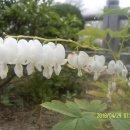 남지초등학교 이미지