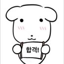 한국외국어대학교 통번역대학원 이미지