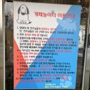 시골놀이터 | [인천 애견카페] 개떼놀이터 인천점 후기, 중형견, 보더콜리