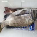 남해-318 이미지