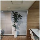 소문행정사사무소 이미지