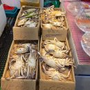 수산시장 | 매천시장 새우 생새우 홍게 시세 매천수산시장 찐 비교 후기