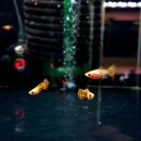 해담한의원 | 해담아쿠아 방문기