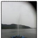 금평 농장 이미지