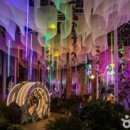 금강보행교 9 이미지