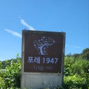 더 포레 1947