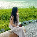 퍼블릭비컨 프룸 PLUME.3 C3 덱스안경 실착후기
