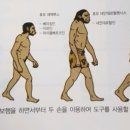 쁘렘요가