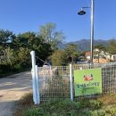 참새둥지야영장 이미지