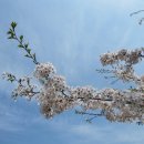 부경자원 이미지