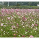 SK통일주유소 이미지