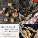 염포집