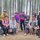 섬진강대나무숲길 이미지